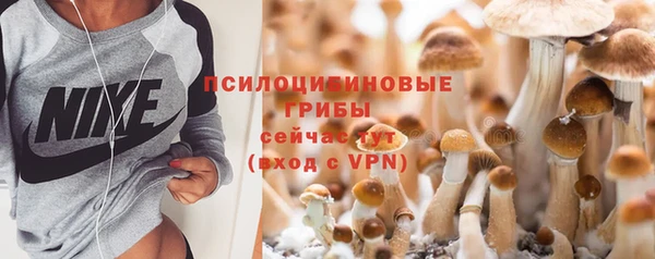амфетамин Ельня