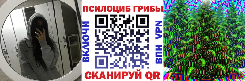 как найти закладки  Медынь  Псилоцибиновые грибы Magic Shrooms 