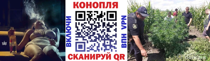 Бошки Шишки SATIVA & INDICA  ОМГ ОМГ ТОР  Медынь  где купить наркотик 